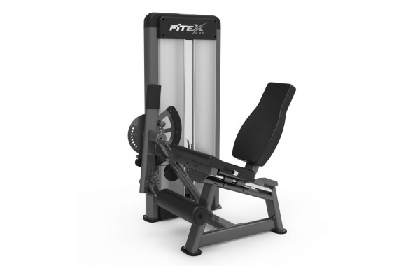 Разгибатель бедра Fitex Pro FTX-61F24 600_380