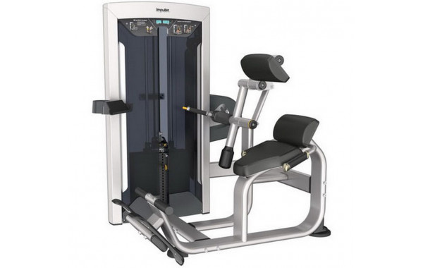 Разгибание спины Aerofit 134 кг FE9732 600_380