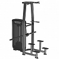 Отжимание/подтягивание с отягощением Spirit Fitness SP-3517 120_120